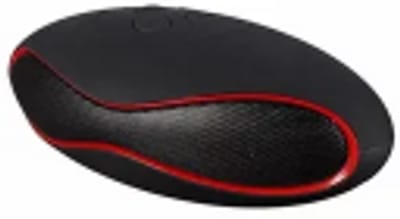 Oval Speaker