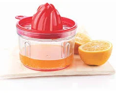 Mini Juicer